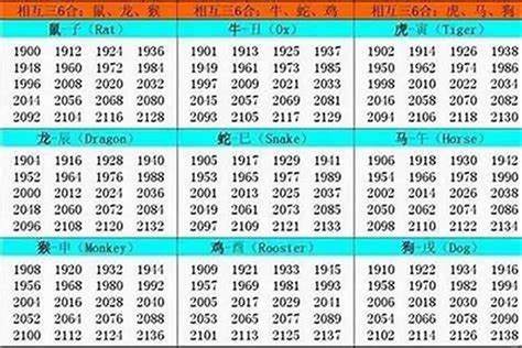 1999年出生的人|1999年，是属什么生肖年